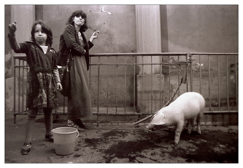 1983-Paar-mit-schwein in Berlin