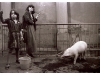 1983-Paar-mit-schwein in Berlin